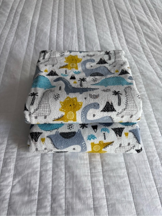 Other - Baby Dino Blankets